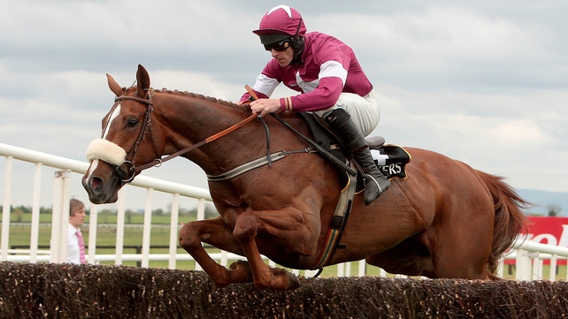 Bog Warrior is unlikely to line up at this season's Cheltenham Festival