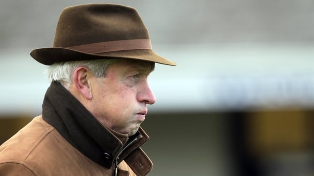 Conditions at Prestbury Park proved favourable for Hughes' runner