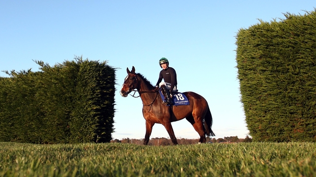 On His Own is one of Mullins' trio in the Premier County Hurdle
