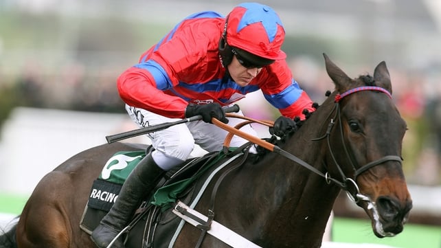 Sprinter Sacre will line up at Cheltenham next Saturday