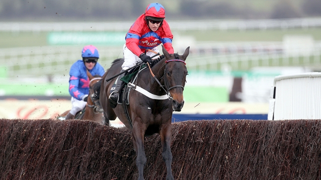 Sprinter Sacre led home Cue Card in last season's Arkle Chase at the Cheltenham Festival