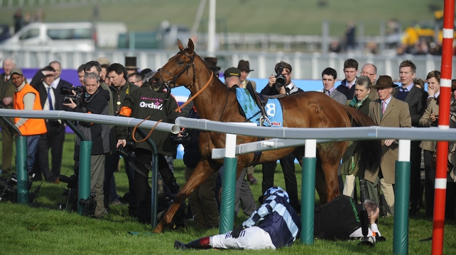 Richard Johnson tumbles into the rails after being unshipped from Wishful Thinking
