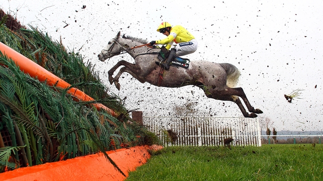 Former Supreme Novices' Hurdle winner Al Ferof will be looking for further Cheltenham success this weekend