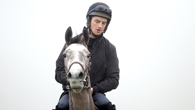 Champagne Fever and Patrick Mullins