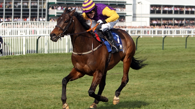 Noble Prince faces a decent test of his credentials at the Merseyside track this weekend