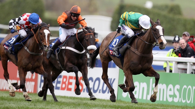 Betfair Chase contenders The Giant Bolster (check silks) and Long Run (brown and orange silks) finished second and third respectively behind the ill-fated Synchronised in last season's Gold Cup