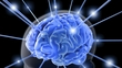 Brain Training