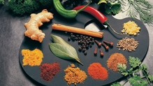Roots Vindaloo Roots Vindaloo