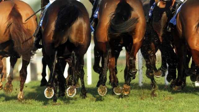 Racing begins at the Limerick Junction venue at 2.05