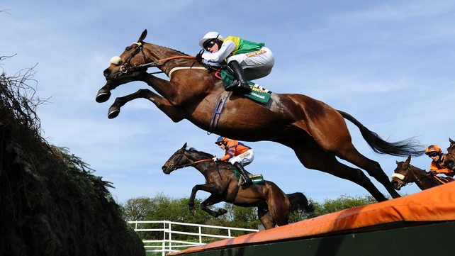 Ground conditions at Aintree are expected to be slower than ideal for 2011 Grand National winner Ballabriggs