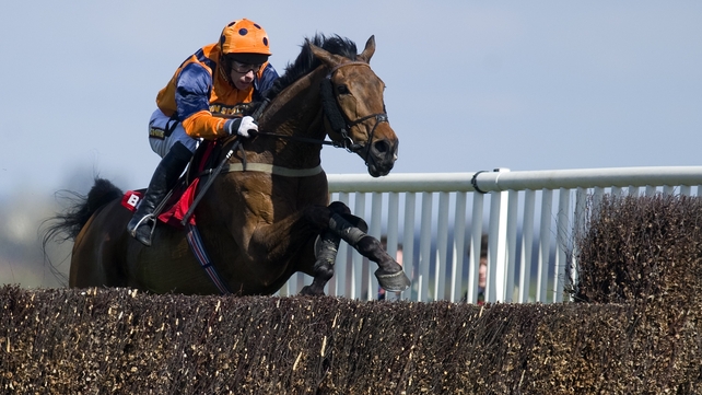 Follow The Plan chases the big prize at the Galway Festival
