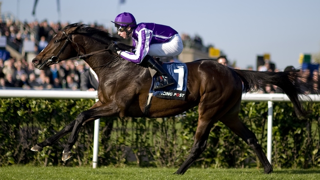 Camelot will face just six rivals in the Irish Derby