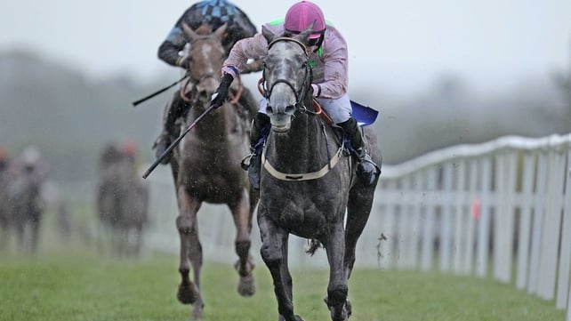 Champagne Fever (r) - Will he justify all the support?