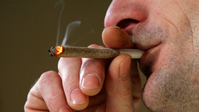 Smoking cannabis from the age of puberty may disrupt developing brain circuits Smoking cannabis from the age of puberty may disrupt developing brain circuits