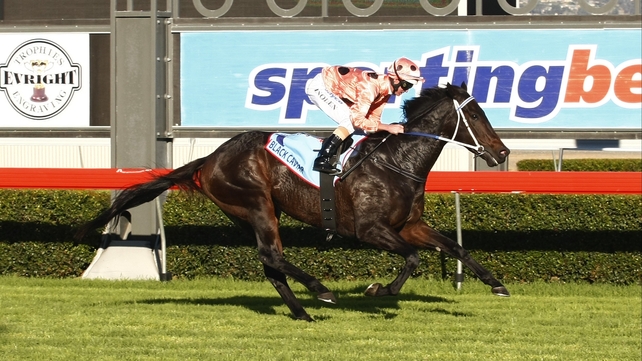 The Peter Moody-trained Black Caviar equalled the Australian record