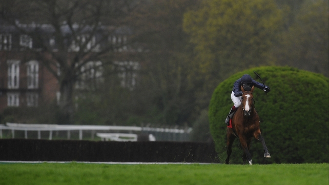 Sandown Classic Trial winner Imperial Monarch found plenty of trouble in the French Derby, won by Saonois