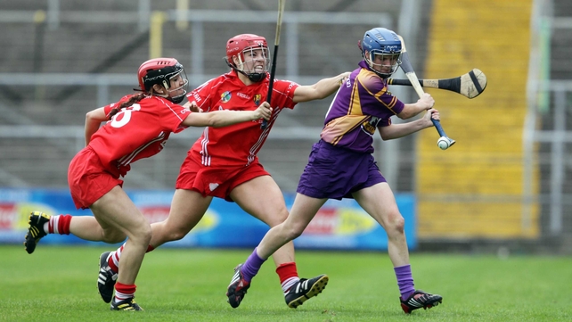 Wexford and Cork go at it again on Sunday in Semple Stadium