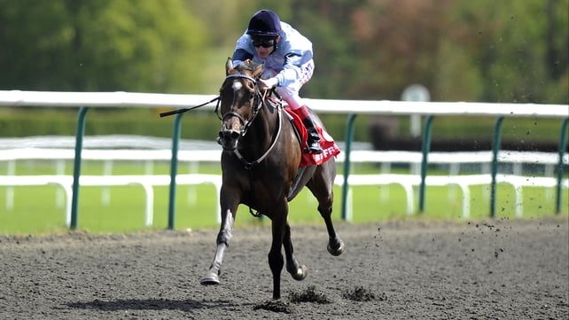 Johnny Murtagh partnered Miss Lahar to victory in the Dark Angel European Breeders Fund Sweet Mimosa Stakes