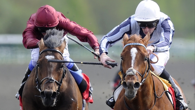 Main Sequence (r), with Ted Durcan on board, get the better of well-backed favourite Shantaram in the Lingfield Derby Trial