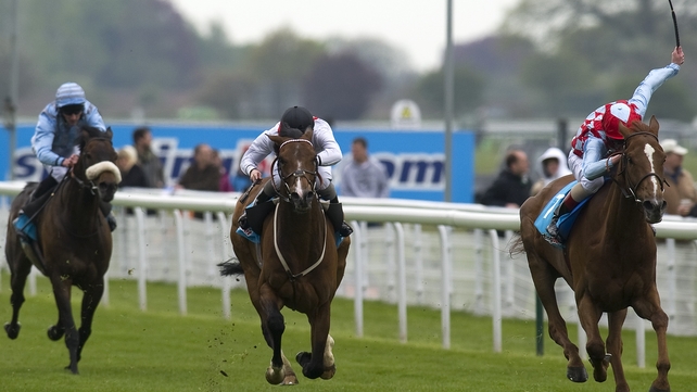 Action at York's three-day Dante meeting gets underway on Wednesday