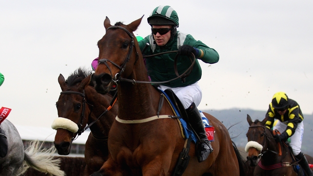 Salsify is hoping for a third win in-a-row at Cheltenham
