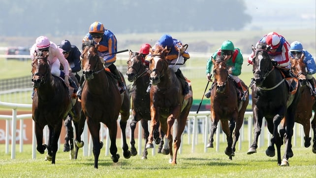 Hermival (right, blue with white stars) was found to be sore after this Irish 2000 Guineas disappointment