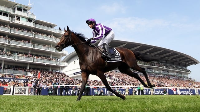 The unbeaten Epsom Derby hero is one of a number of high-profile King George entries from Ballydoyle