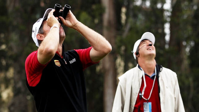 A spot of birdwatching for Lee Westwood? Unfortunately not - his ball is up there somewhere.