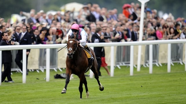 Frankel could compete in the Prix de l'Arc de Triomphe
