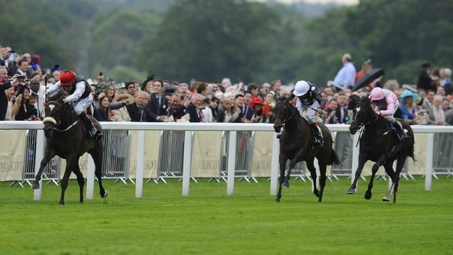 Princess Highway carried Moyglare Stud's famous black, white and red colours to victory at Royal Ascot last week