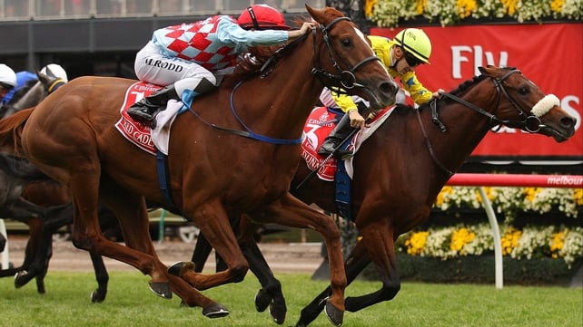 Dunaden (r) just got the better of Red Cadeaux in last year's race