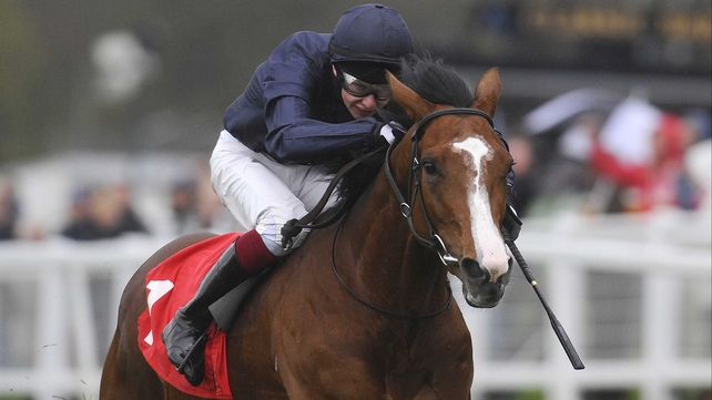 Imperial Monarch was last seen winning the Group One Grand Prix de Paris over course and distance in July