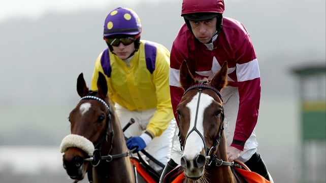 His Excellency (right) will miss out on Punchestown