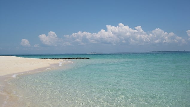 The beach on Turtle Island