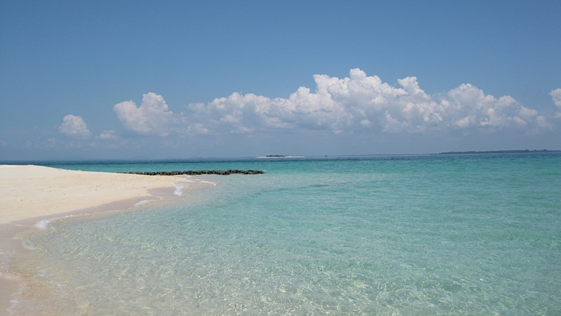 Turtle Island