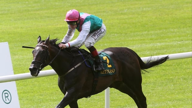 Famous Name is looking to land his 20th stakes success at Leopardstown on Saturday