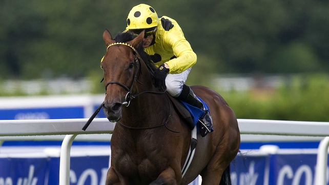 Afsare ran on strongly to finish second behind Little Mike in Saturday's Arlington Million