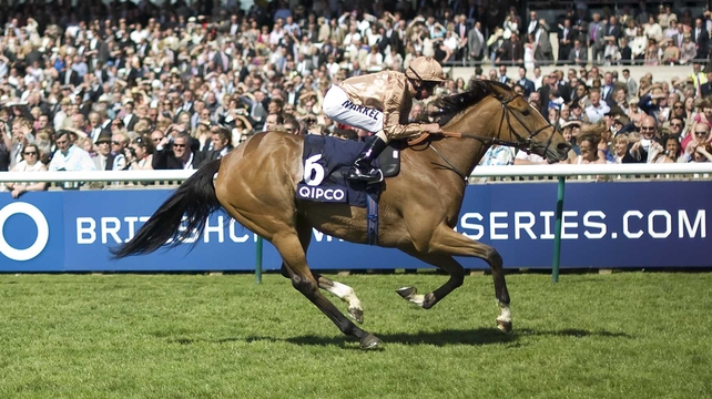 I'm A Dreamer's success in the Beverly D has earned her automatic qualification for the Breeders' Cup Filly & Mare Turf