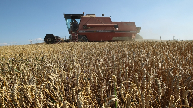 Droughts in the US and eastern Europe have pushed up world grain prices Droughts in the US and eastern Europe have pushed up world grain prices