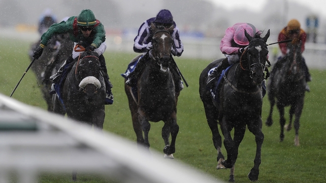 Shareta (noseband) looked the only Arc aspirant to take from the Prix Vermeille after hosing up in that contest on Sunday