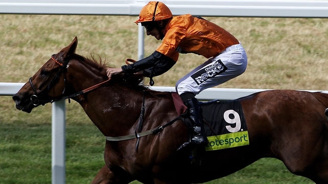 Premio Loco has shown poor form this year
