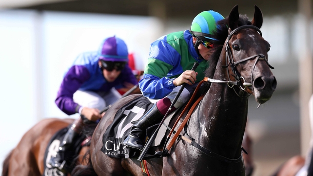 Punch Your Weight won Saturday's ultra-competitive Irish Cambridgeshire despite a distinct lack of experience