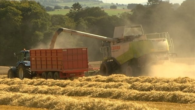 Grain farmers had feared that a large percentage of their crops would remain unharvested due to poor weather Grain farmers had feared that a large percentage of their crops would remain unharvested due to poor weather
