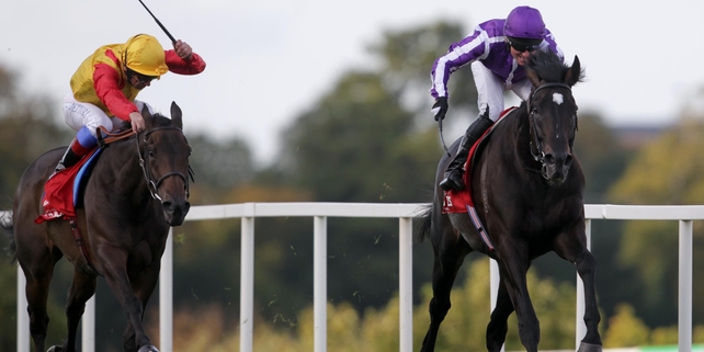 So You Think and Seamie Heffernan (r) move clear of Snow Fairy in last year's Irish Champion renewal