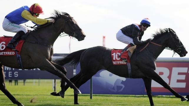 Society Rock pictured taking the Haydock Sprint Cup