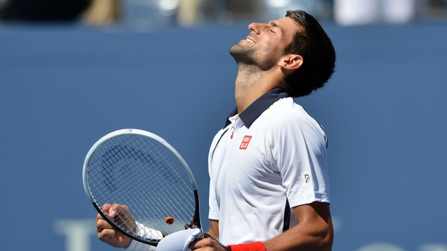 Novak Djokovic celebrates his victory over David Ferrer