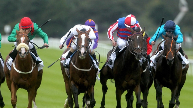 Royal Diamond prevailed in a tight finish to the 2012 Irish St Leger