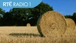 LOUGH EGISH FODDER