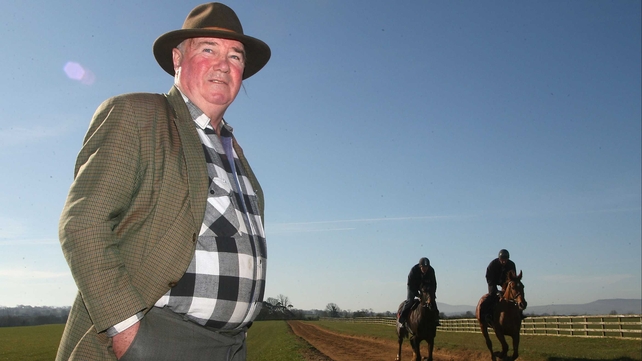 Pat Hughes saddles exciting prospect Teelin Star in the Schooling at Tipperary Beginners' Chase