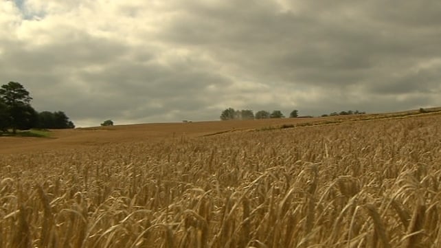 The report found that two-thirds of farmers said it was important for the farm to stay in family ownership The report found that two-thirds of farmers said it was important for the farm to stay in family ownership